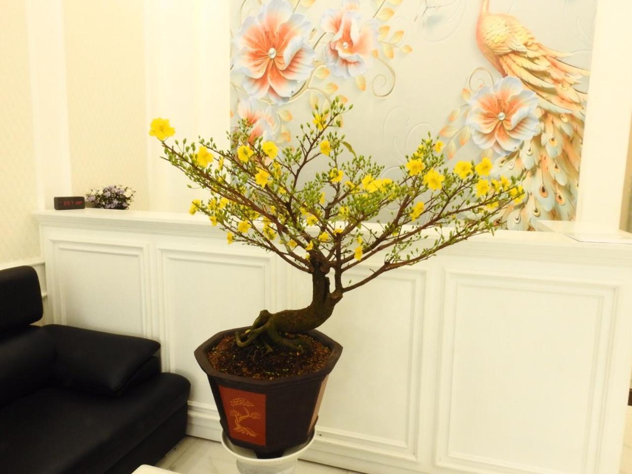 הו צ'י מין סיטי Daisy Hotel מראה חיצוני תמונה